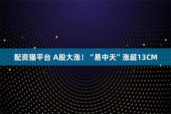 配资猫平台 A股大涨！“易中天”涨超13CM